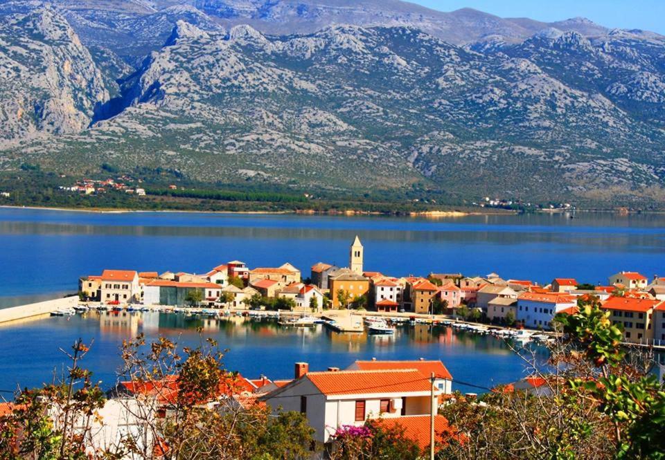Apartman Magas With Private Pool Vinjerac Dış mekan fotoğraf